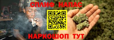 гидра Краснознаменск
