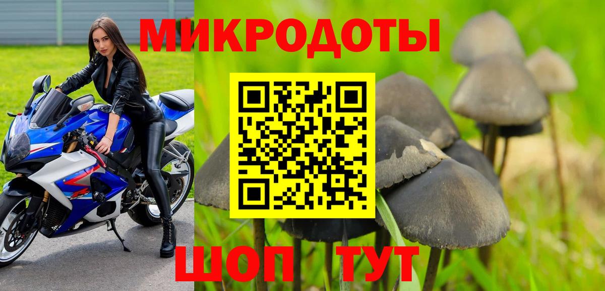 Галлюциногенные грибы Cubensis Щёлково